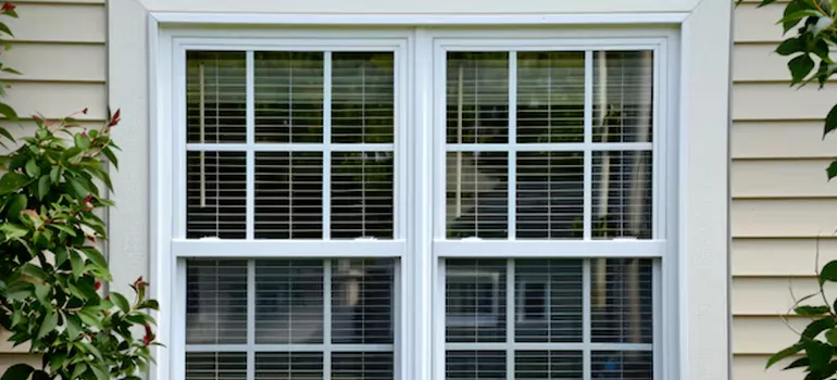 Custom Double Hung Windows in Clearwater, FL
