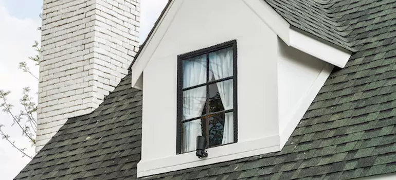 Roof Window Repair in Clearwater, FL
