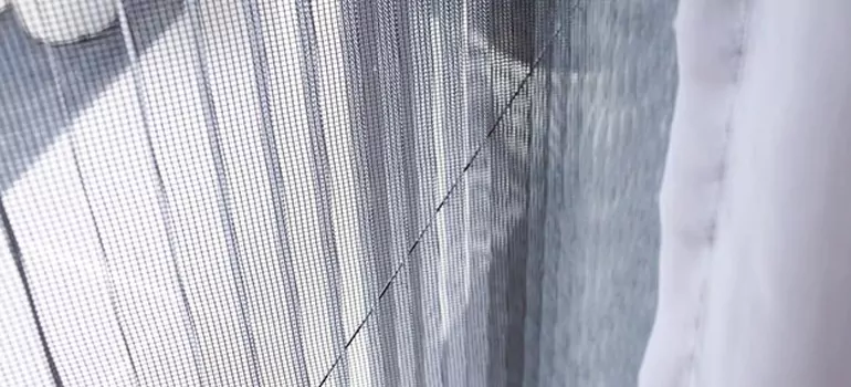 Fixing Screen Window Mesh in Clearwater, FL