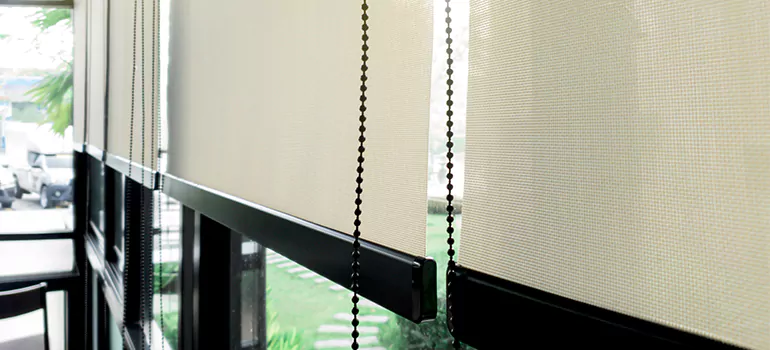 Blackout Window Shades in Clearwater, FL